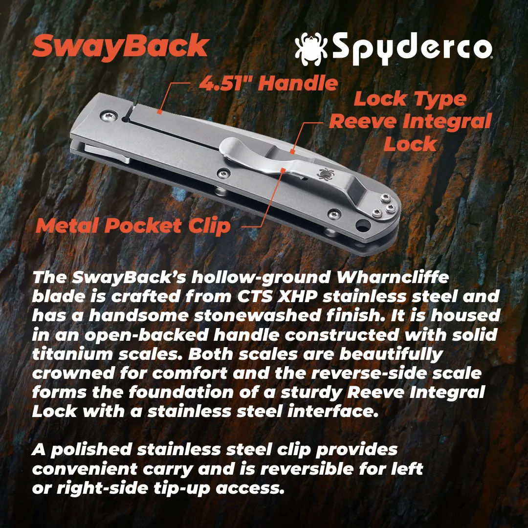 Spyderco SwayBack Plain Edge 3.55" Folding Pocket Knife (C249TIP)