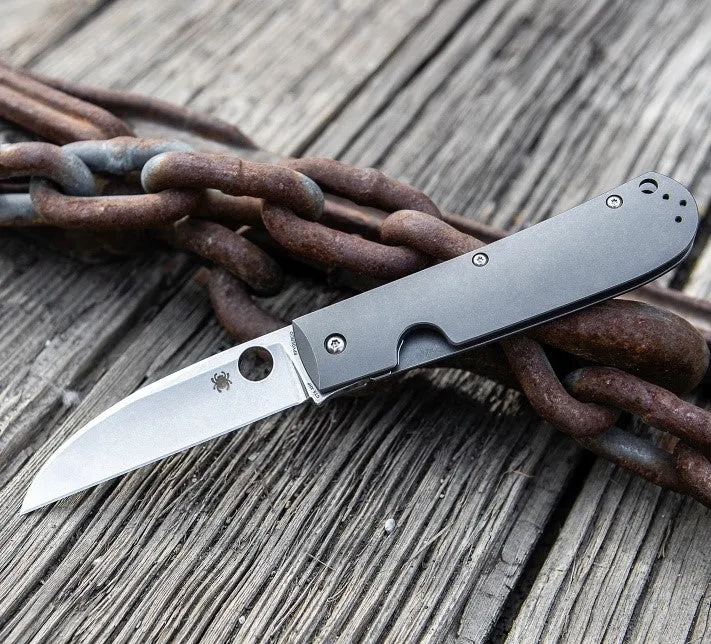 Spyderco SwayBack Plain Edge 3.55" Folding Pocket Knife (C249TIP)