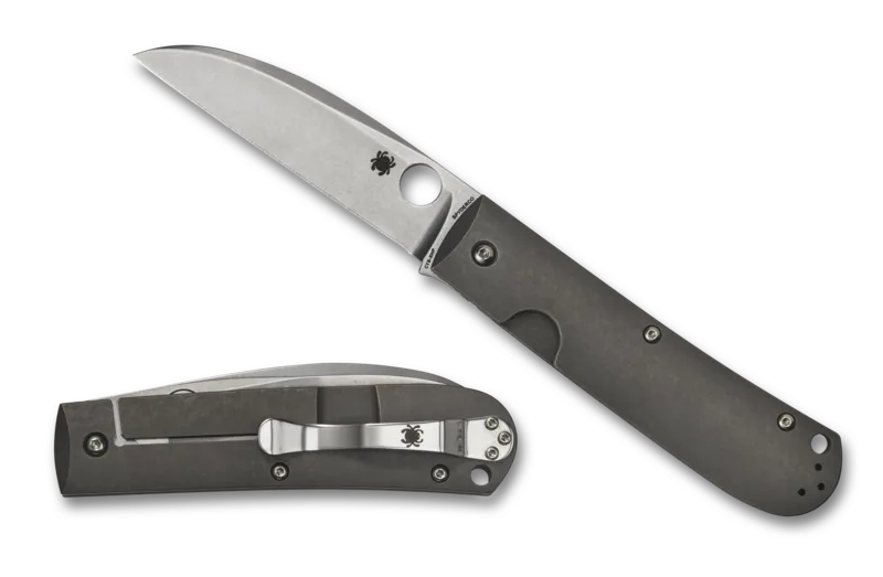 Spyderco SwayBack Plain Edge 3.55" Folding Pocket Knife (C249TIP)