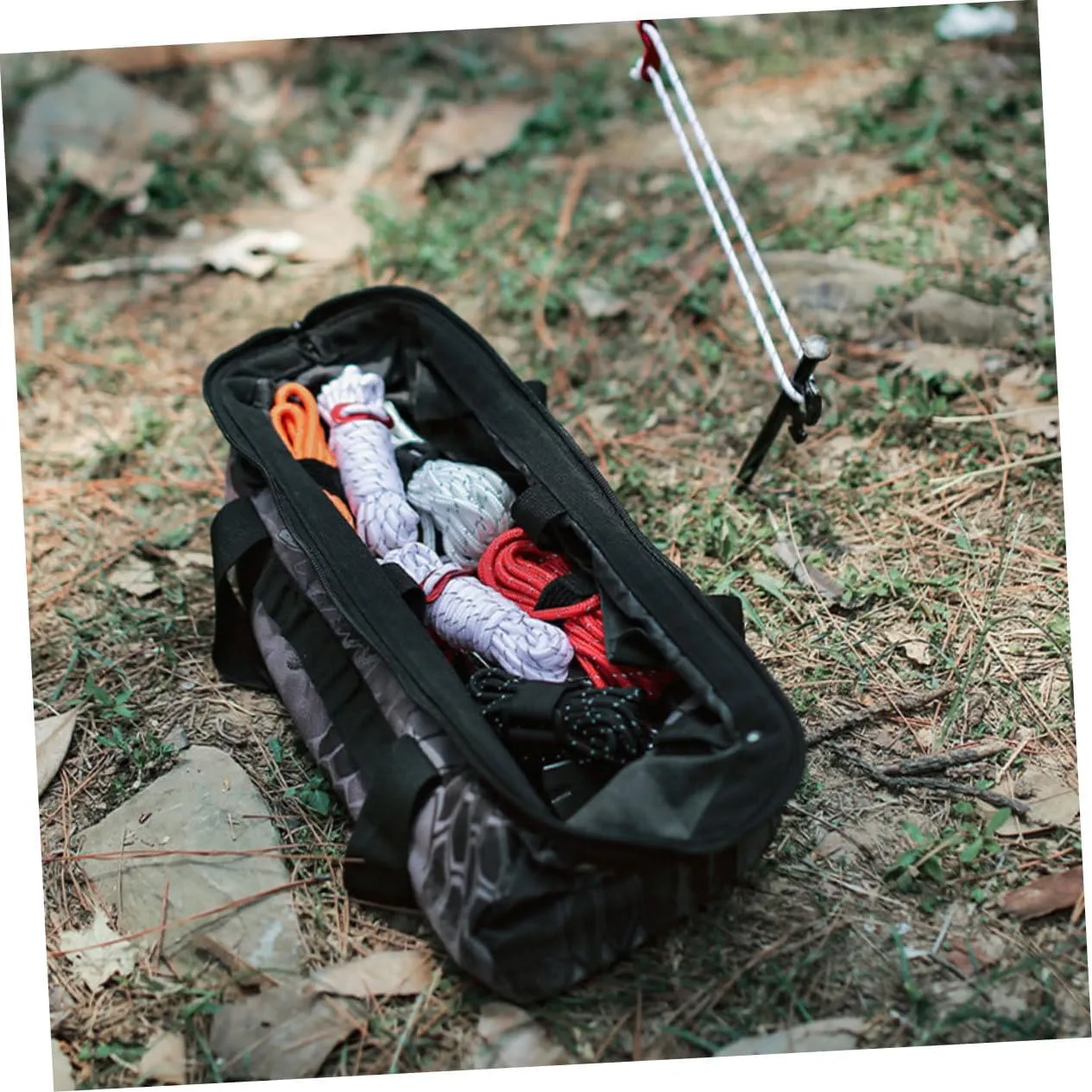 TOYANDONA 3sets Outdoor Tent Ropes Camping Guy Ropes with Buckles Windproof Reflective 2pcs*3