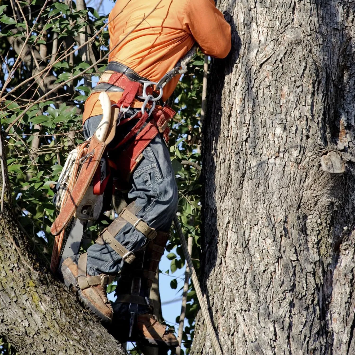 Tree Climbing Gear，Tree Climbing Spikes, Tree Climbing Gear with Adjustable Climbing Straps and Steel Core Flip Line, Rock Climbing Kit with Triple Lock Lanyard Adjuster