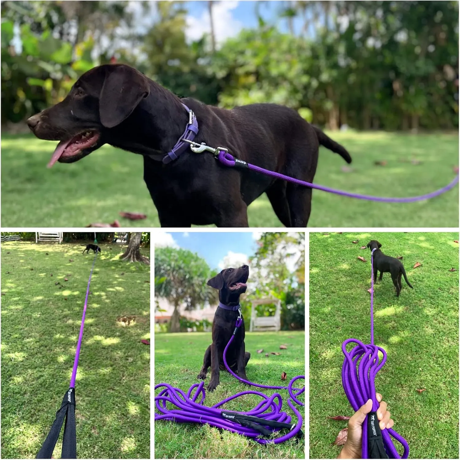 Tuff Pupper Heavy Duty 30 Foot Long Rope Leash for Dogs | Dog Recall Training Lead | High Visibility Strong Climbing Rope Leash | Hand or Waist Worn | Stainless Steel 360° Clips for Tangle Free Use