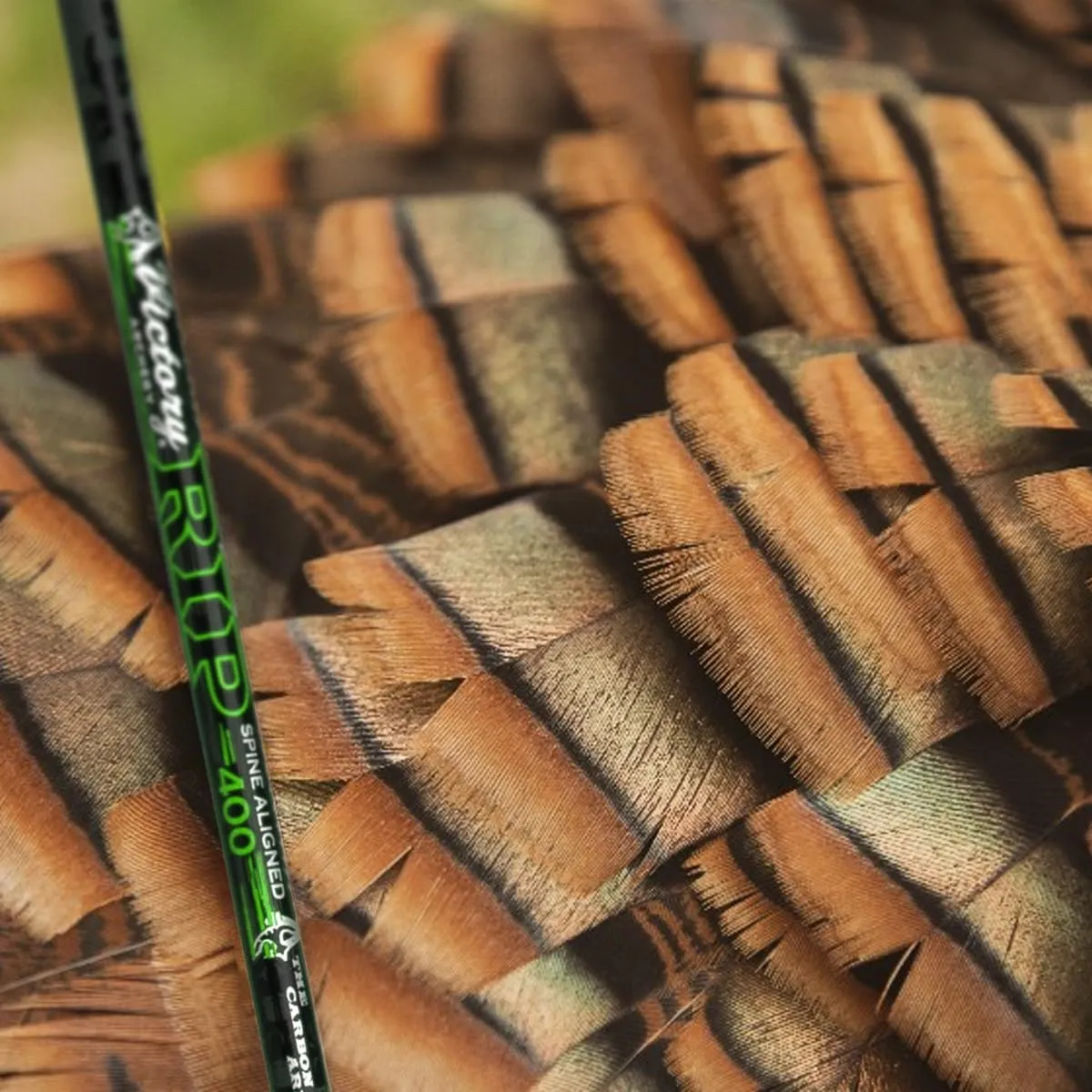 Victory Archery RIP 0.204" 250/300/350/400/500 Spine Small Diameter Carbon Hunting Arrow Shafts 12 Pack