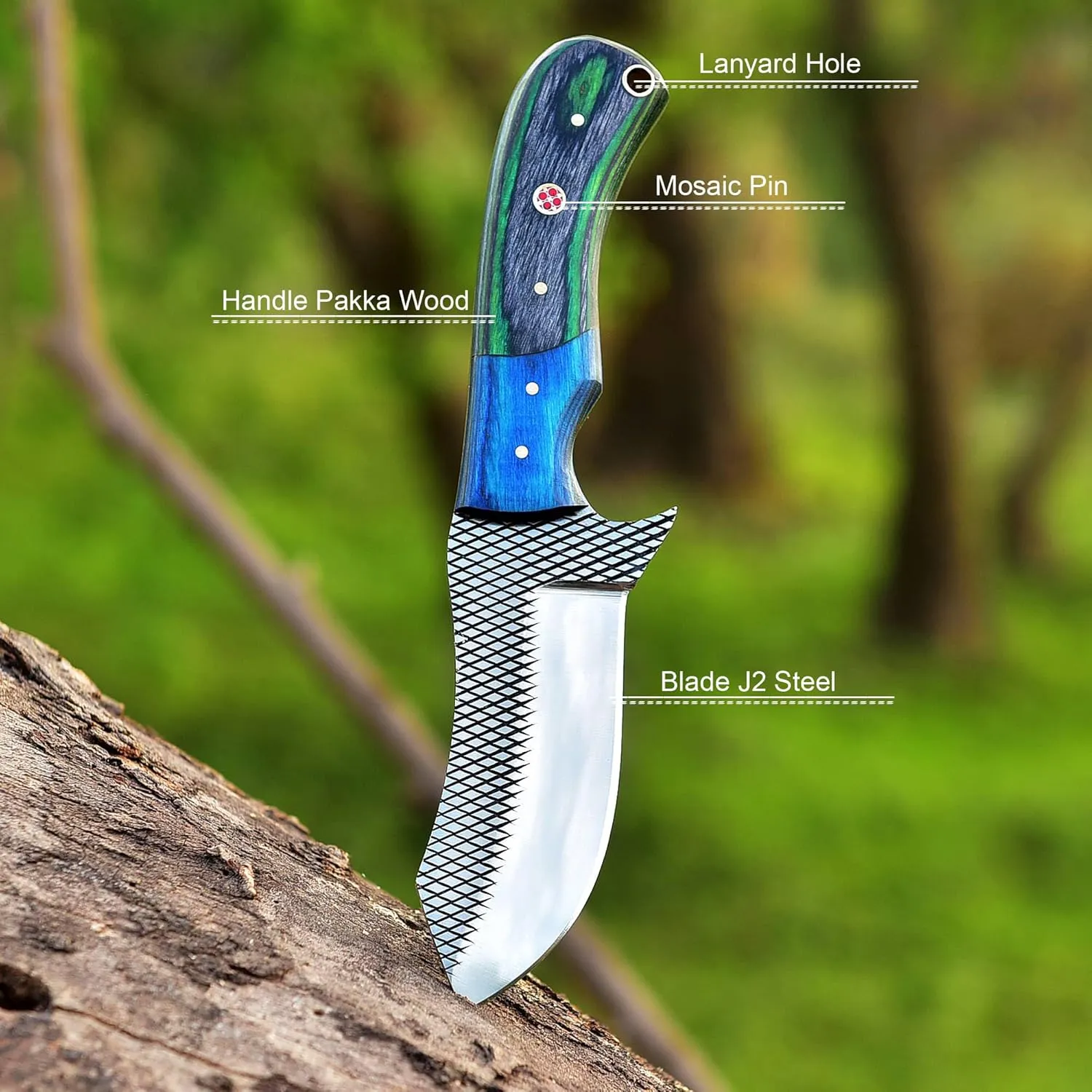 Wolf Cut Custom Handmade Farrier Rasp Steel Bull cutter knife Cowboy knife Hunting knife Camping knife with Pancake Leather Sheath (Blue wood)