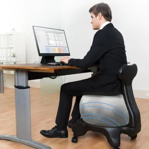 Yoga Balance Exercise Bouncy Ball Chair Stable Pregnancy Bouncy Ball Chairs, Balance Ball Chair for Adults Office, Yoga Ball Seats with Backrest/ 4 Lockable Wheels for Improves Back Pain/ Exercise Phy
